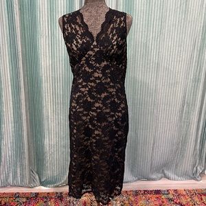 Karen Kane Sheer Lace Nude Lined Sheath Dress Sexy LBD Stretchy